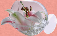 WS{}FlowerInGlass